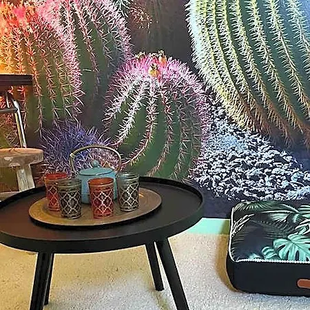 Luxury Magic Cactus Garden Paris Orly Ξενοδοχείο Draveil